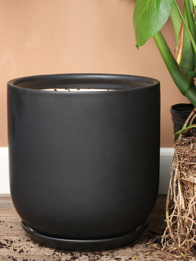 Cylindoval (#337/336) | Fits: 6", 8", 10", 14" Plants