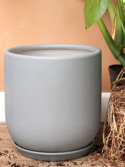Cylindoval (#337/336) | Fits: 6", 8", 10", 14" Plants