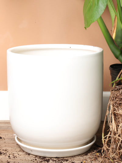 Cylindoval (#337/336) | Fits: 6", 8", 10", 14" Plants