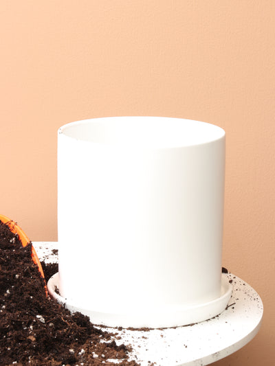 Cylinderica | Fits: 4", 5", 6" Plants
