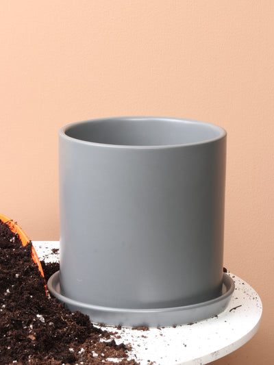 Cylinderica | Fits: 4", 5", 6" Plants