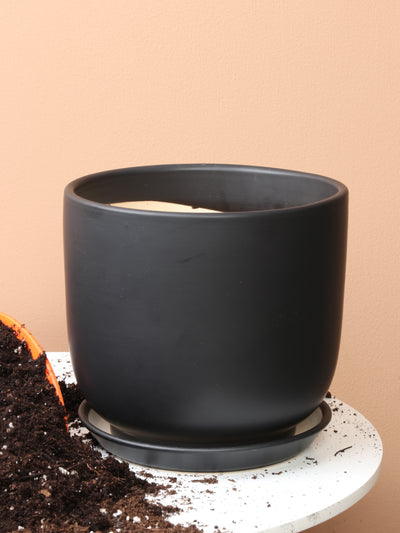 Cylindoval (#337/336) | Fits: 6", 8", 10", 14" Plants