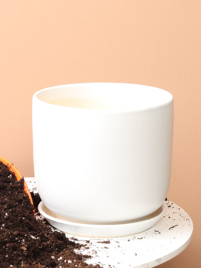 Cylindoval (#337/336) | Fits: 6", 8", 10", 14" Plants