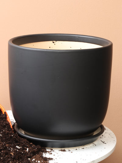 Cylindoval (#337/336) | Fits: 6", 8", 10", 14" Plants