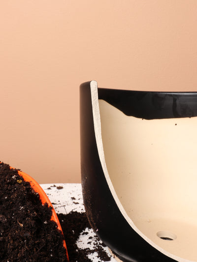 Cylindoval (#337/336) | Fits: 6", 8", 10", 14" Plants