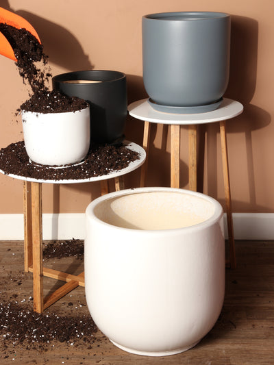 Cylindoval (#337/336) | Fits: 6", 8", 10", 14" Plants