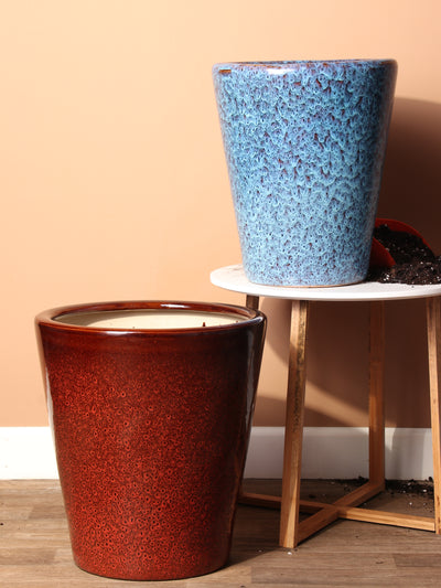 Cone | Fits 10", 14" Plants