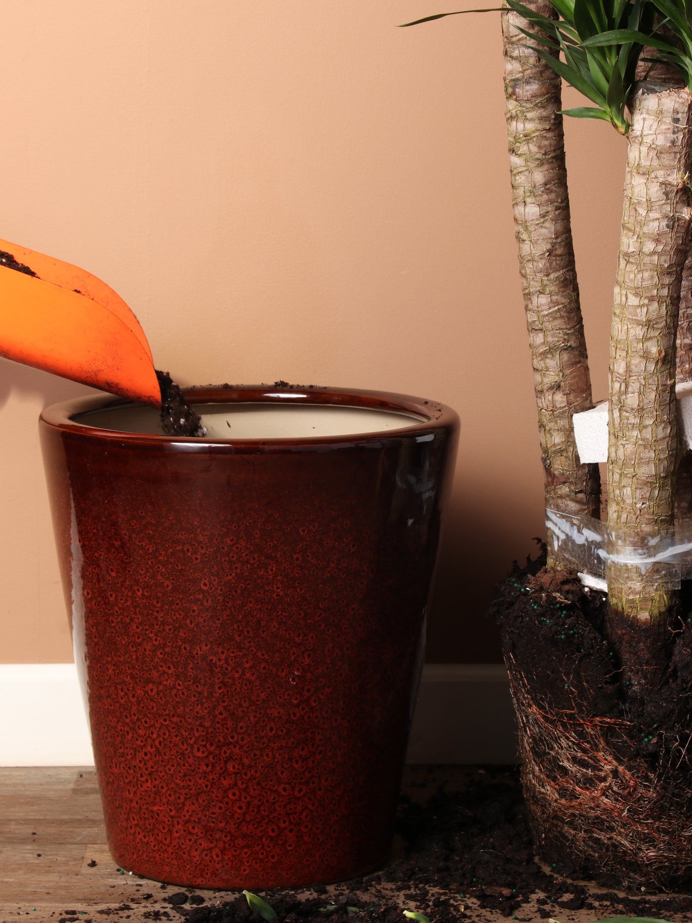 Cone | Fits 10", 14" Plants