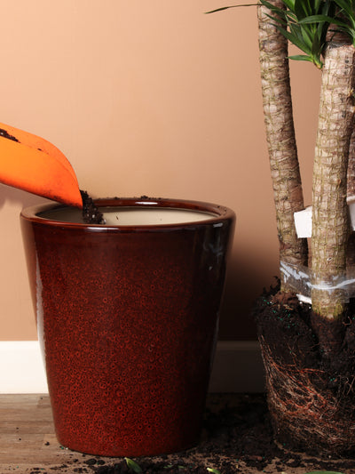 Cone | Fits 10", 14" Plants