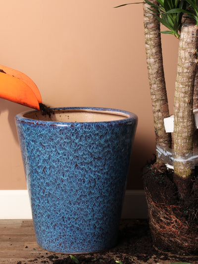 Cone | Fits 10", 14" Plants