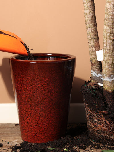 Cone | Fits 10", 14" Plants