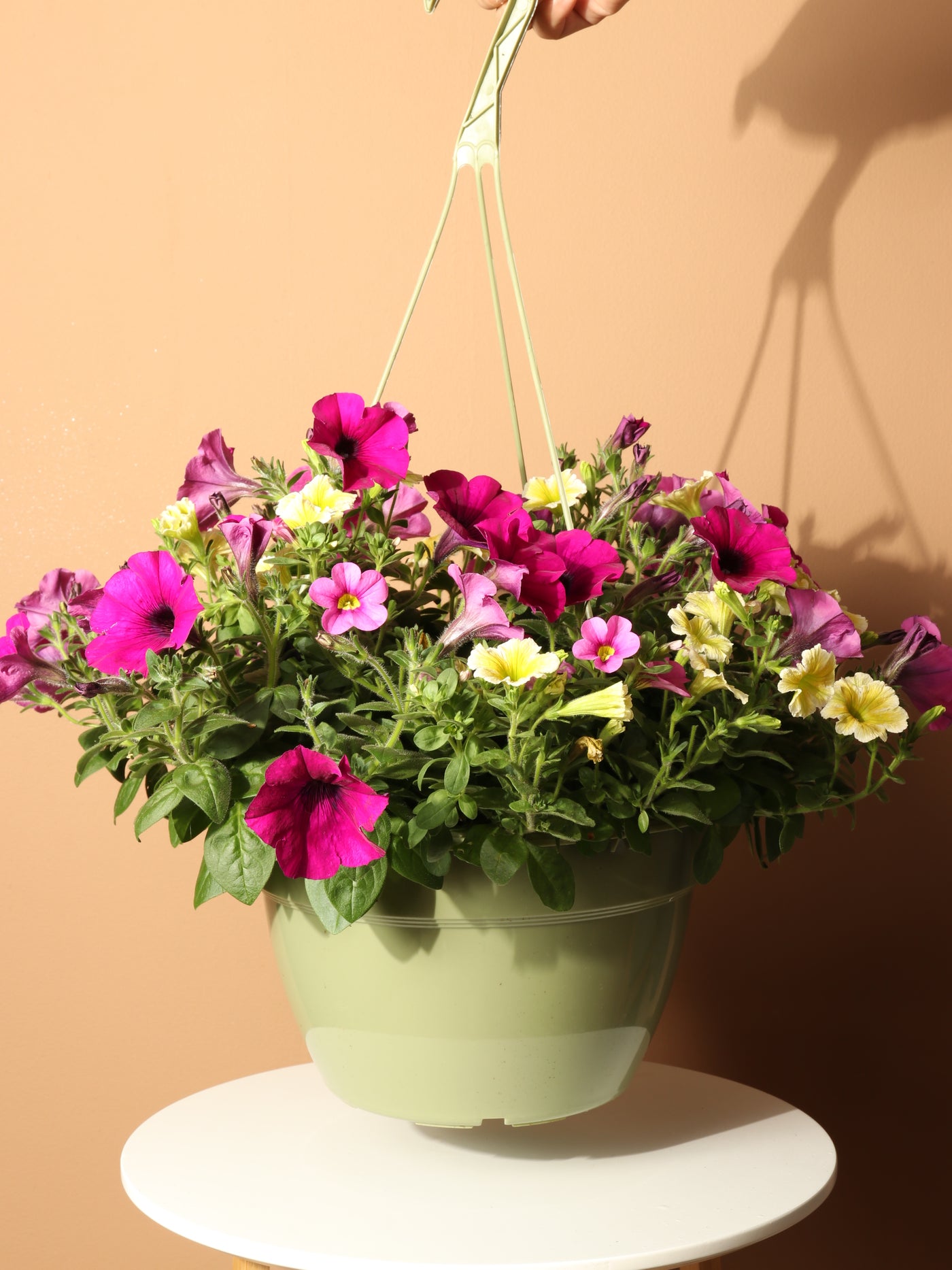 Hanging Spring Mix (Pink and Yellow)