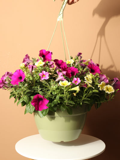 Hanging Spring Mix (Pink and Yellow)