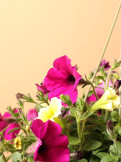Hanging Spring Mix (Pink and Yellow)