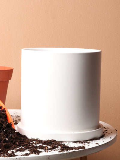 Cylinderica | Fits: 4", 5", 6" Plants