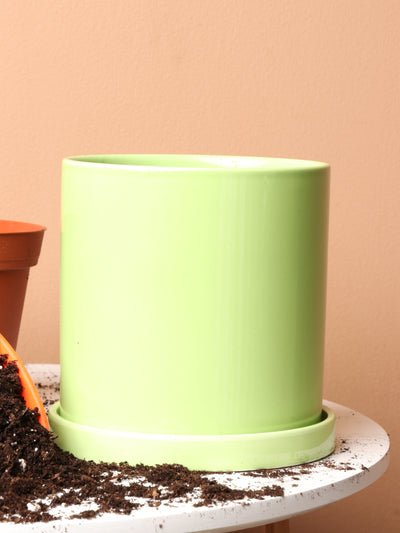 Cylinderica | Fits: 4", 5", 6" Plants